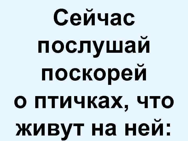 Колибри – маленькая птица – На красной ленточке 