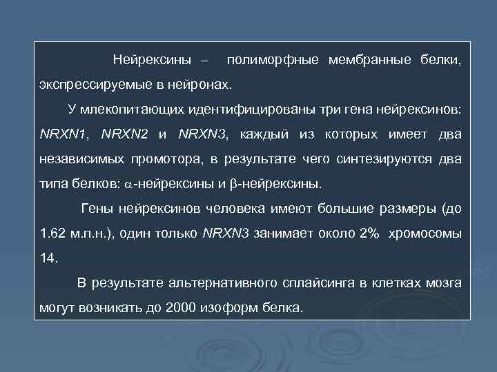 Нейрексины – полиморфные мембранные белки, экспрессируемые в нейронах. У млекопитающих идентифицированы три гена нейрексинов: