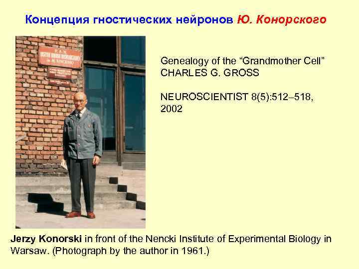 Концепция гностических нейронов Ю. Конорского Genealogy of the “Grandmother Cell” CHARLES G. GROSS NEUROSCIENTIST