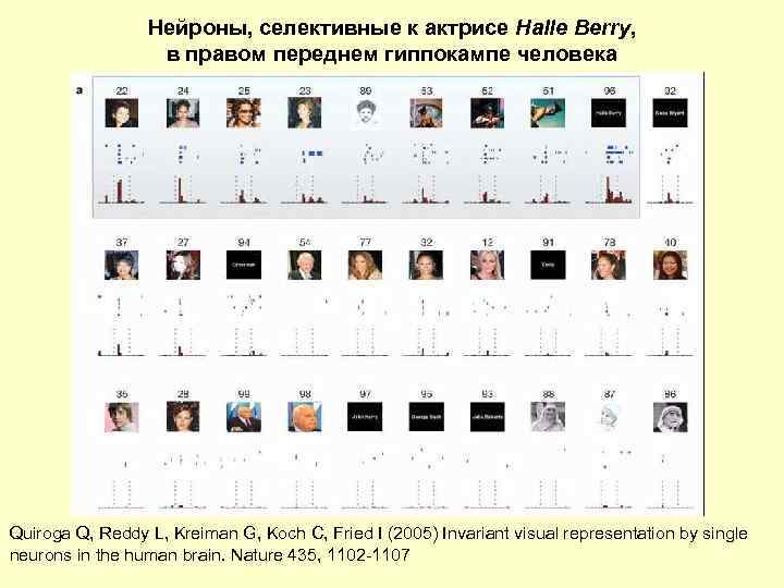 Нейроны, селективные к актрисе Halle Berry, в правом переднем гиппокампе человека Quiroga Q, Reddy