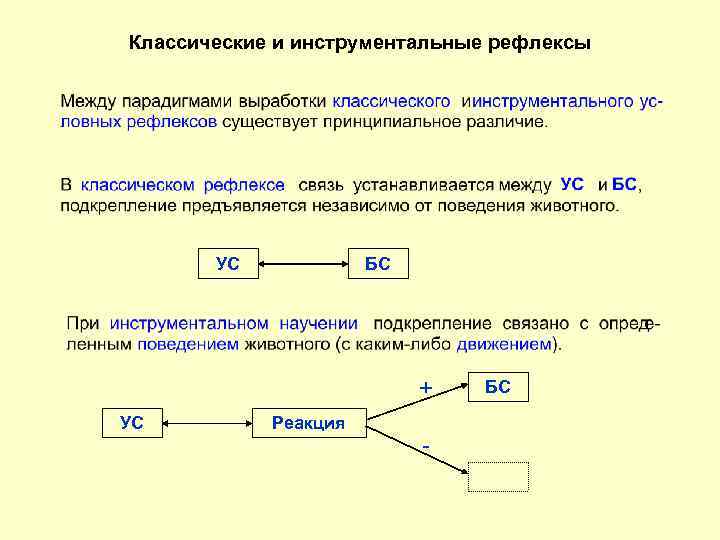Классические и инструментальные рефлексы УС БС + УС Реакция - БС 