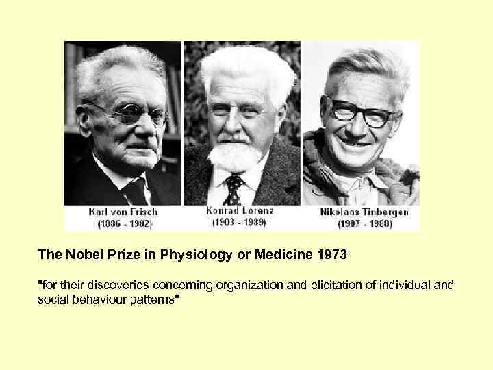 The Nobel Prize in Physiology or Medicine 1973 "for their discoveries concerning organization and