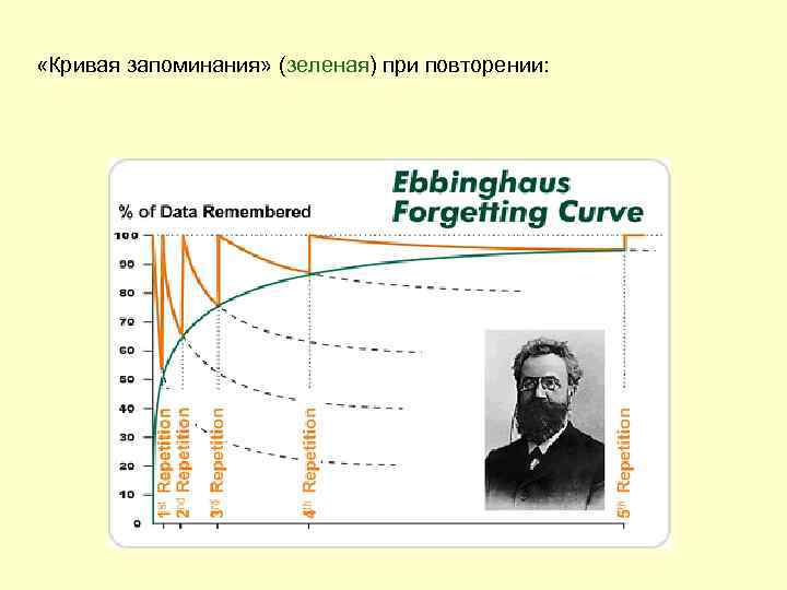 Кривая запоминания