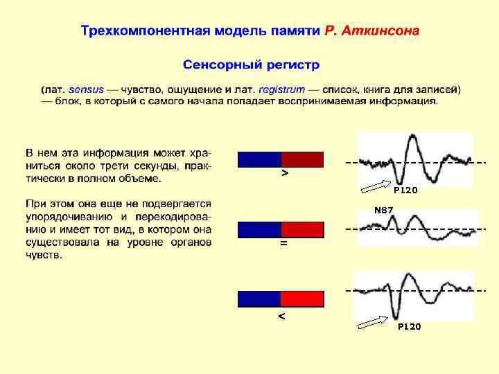 > P 120 N 87 = < P 120 