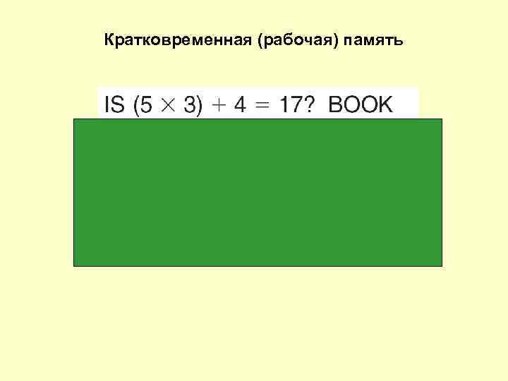 Кратковременная (рабочая) память 