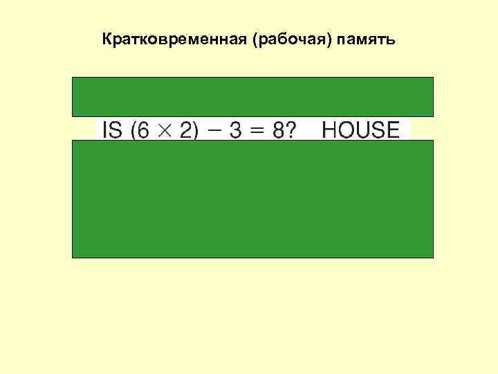 Кратковременная (рабочая) память 