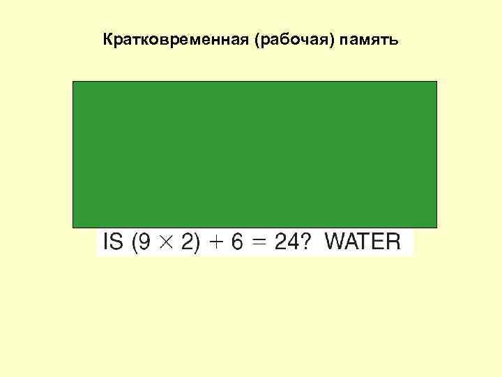 Кратковременная (рабочая) память 