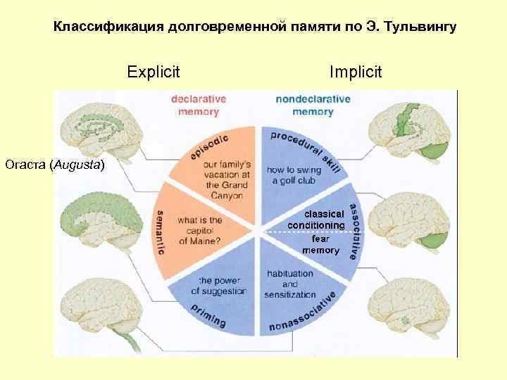 Классификация долговременной памяти по Э. Тульвингу Explicit Огаста (Augusta) Implicit 