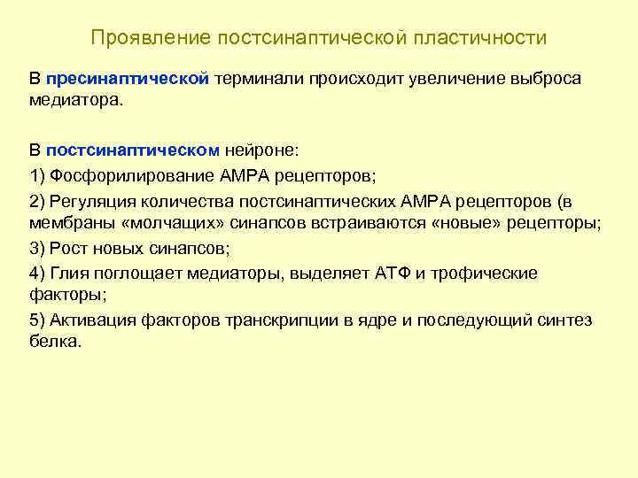 Проявление постсинаптической пластичности В пресинаптической терминали происходит увеличение выброса медиатора. В постсинаптическом нейроне: 1)