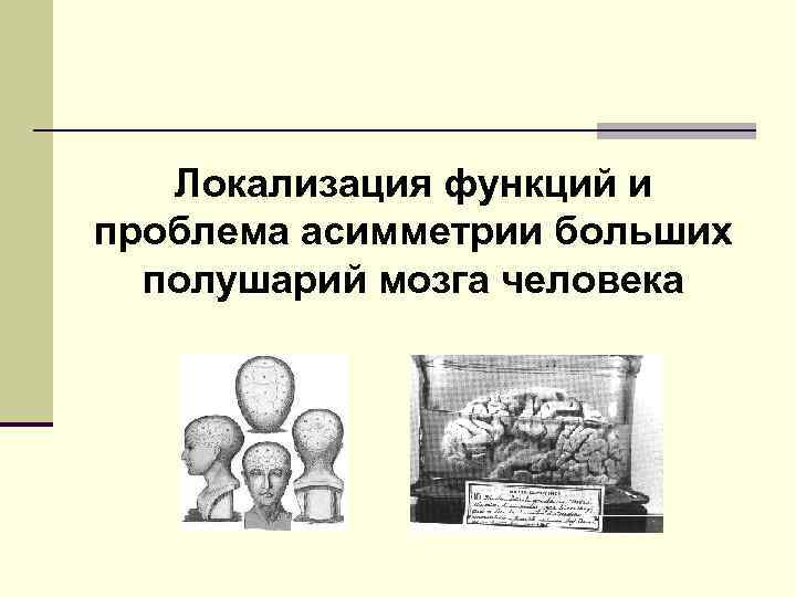 Локализация функций и проблема асимметрии больших полушарий мозга человека 
