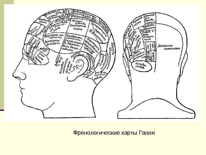 Френологические карты Галля 