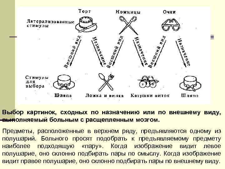 Выбор картинок, сходных по назначению или по внешнему виду, выполняемый больным с расщепленным мозгом.