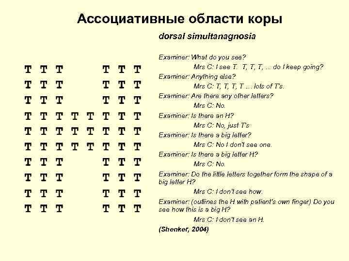 Ассоциативные области коры dorsal simultanagnosia Examiner: What do you see? Mrs C: I see