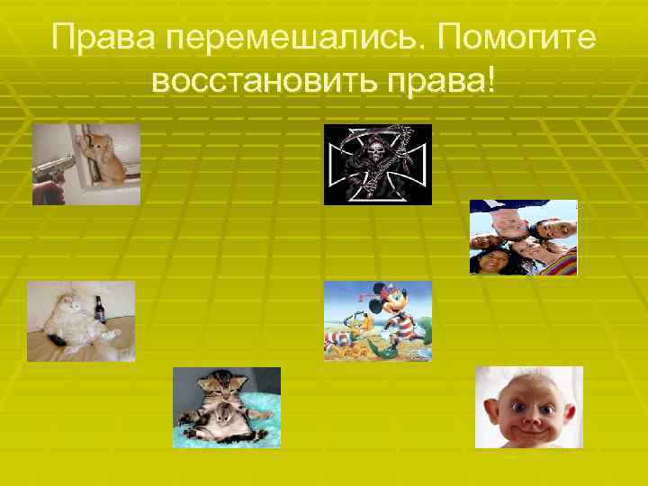 Права перемешались. Помогите восстановить права! 