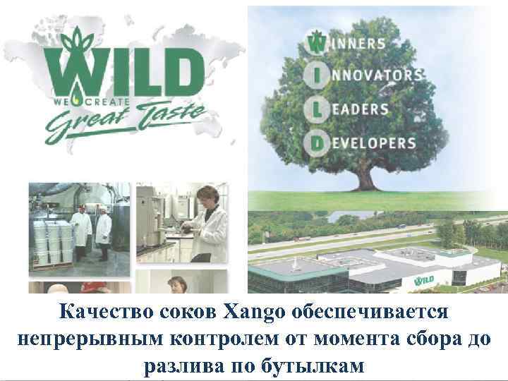 Качество соков Xango обеспечивается непрерывным контролем от момента сбора до разлива по бутылкам 
