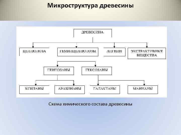 Химический состав древесины. Химический состав древесины схема. В состав древесины входят. Состав древесины входят следующие элементы. Охарактеризуйте микроструктуру древесины.