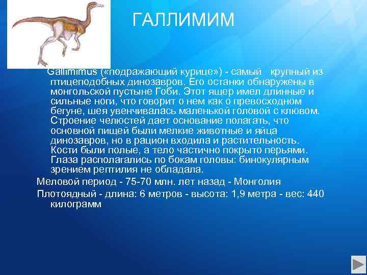 ГАЛЛИМИМ Gallimimus ( «подражающий курице» ) - самый крупный из птицеподобных динозавров. Его останки