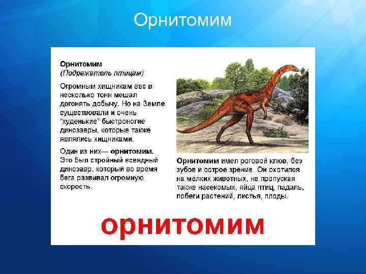 Орнитомим 