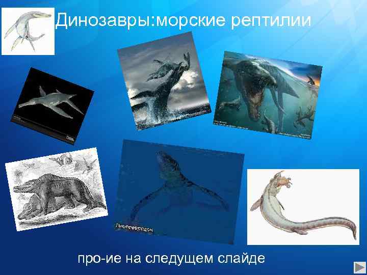 Динозавры: морские рептилии про-ие на следущем слайде 