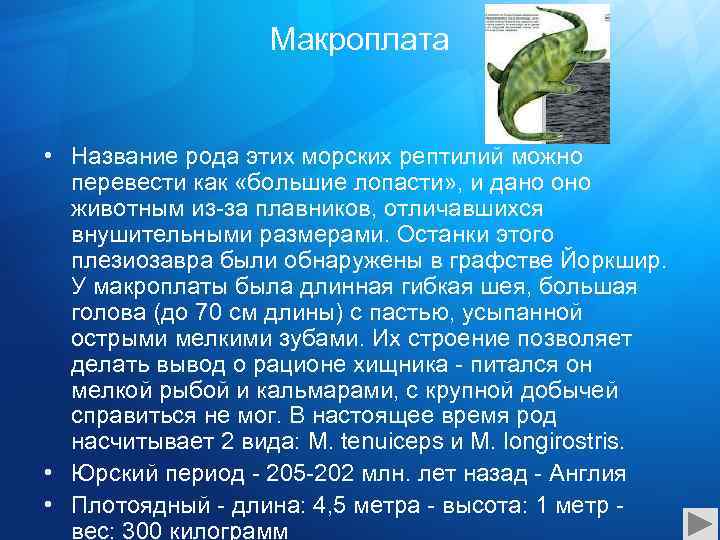 Макроплата • Название рода этих морских рептилий можно перевести как «большие лопасти» , и