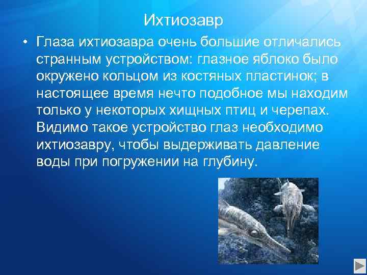 Ихтиозавр • Глаза ихтиозавра очень большие отличались странным устройством: глазное яблоко было окружено кольцом