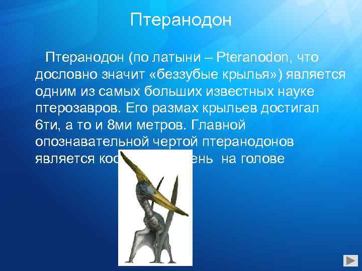 Птеранодон (по латыни – Pteranodon, что дословно значит «беззубые крылья» ) является одним из