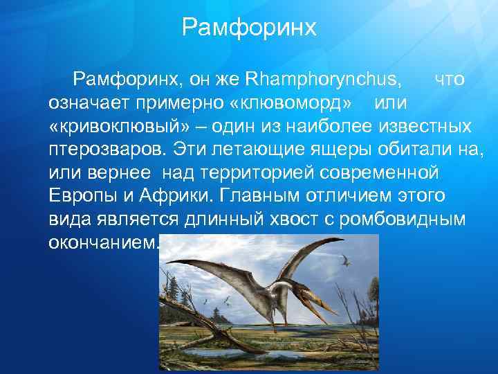 Рамфоринх, он же Rhamphorynchus, что означает примерно «клювоморд» или «кривоклювый» – один из наиболее