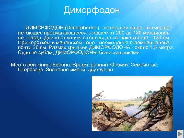 Диморфодон ДИМОРФОДОН (Dimorphodon) - летающий ящер - вымершее летающее пресмыкающееся, жившее от 200 до