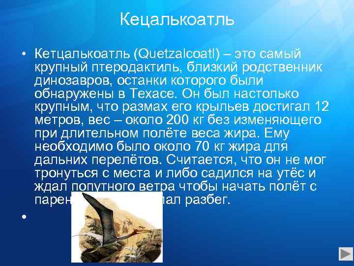 Кецалькоатль • Кетцалькоатль (Quetzalcoatl) – это самый крупный птеродактиль, близкий родственник динозавров, останки которого