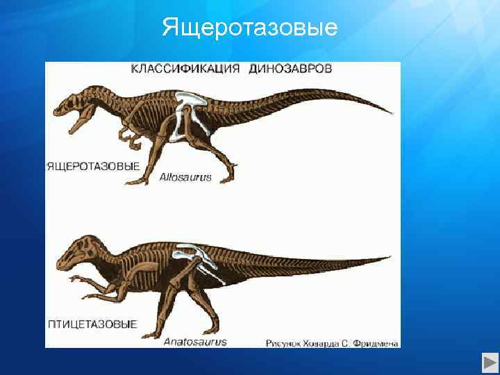 Отряды динозавров схема