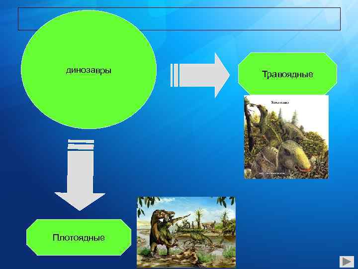 динозавры Плотоядные Травоядные 