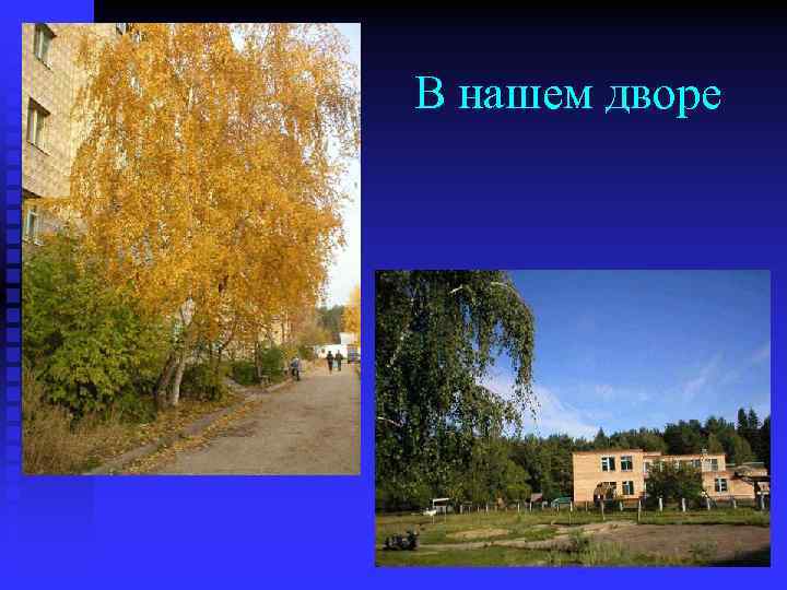 В нашем дворе 