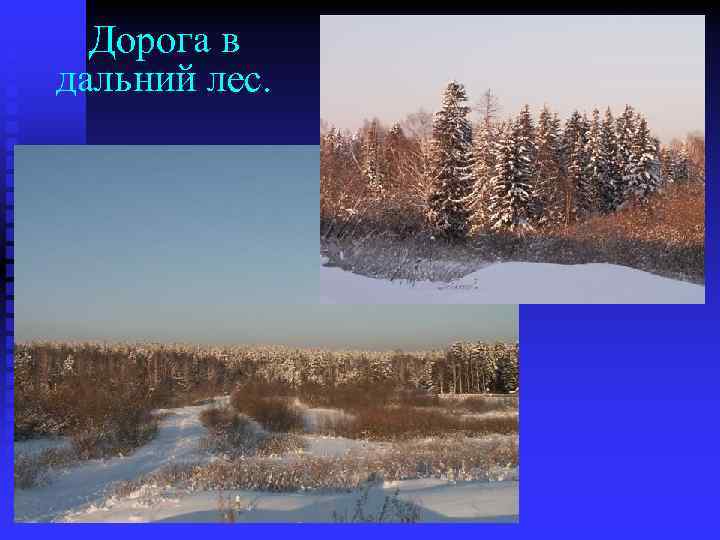 Дорога в дальний лес. 