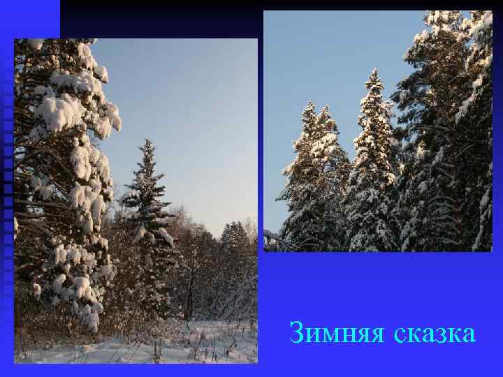 Зимняя сказка 