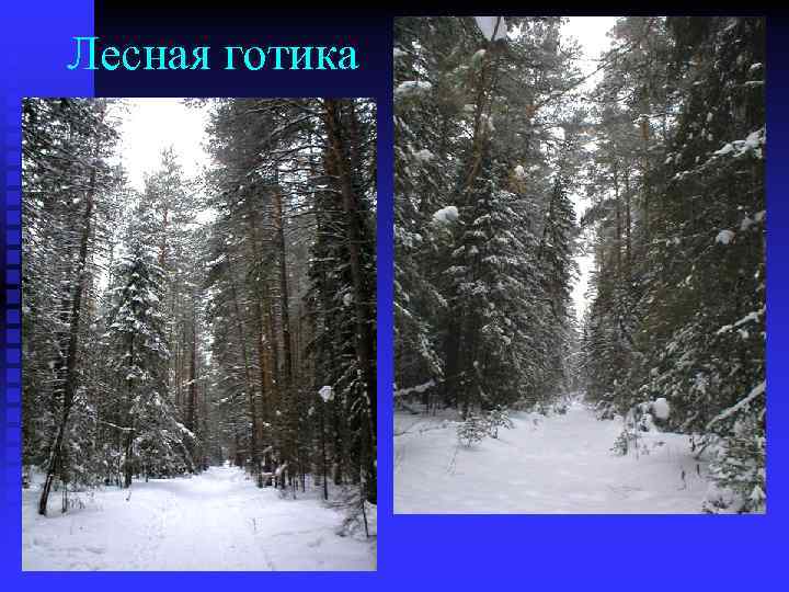 Лесная готика 