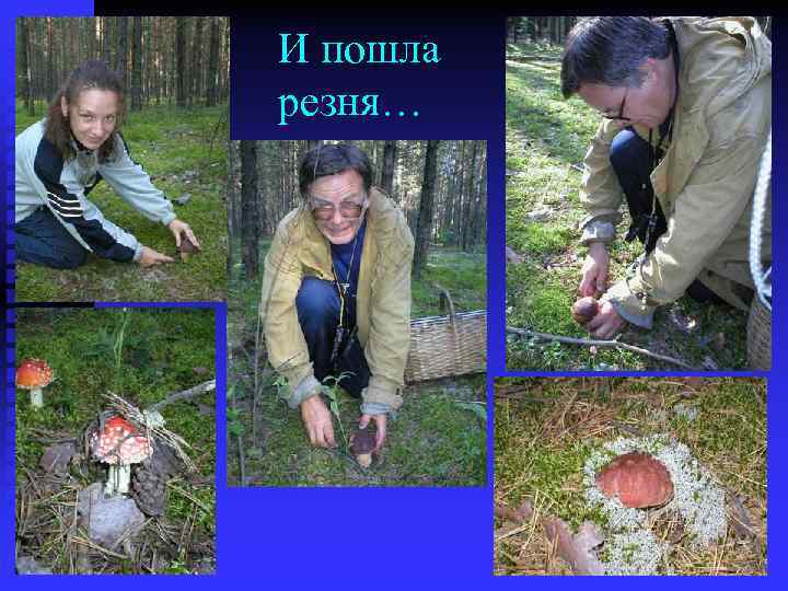 И пошла резня… 