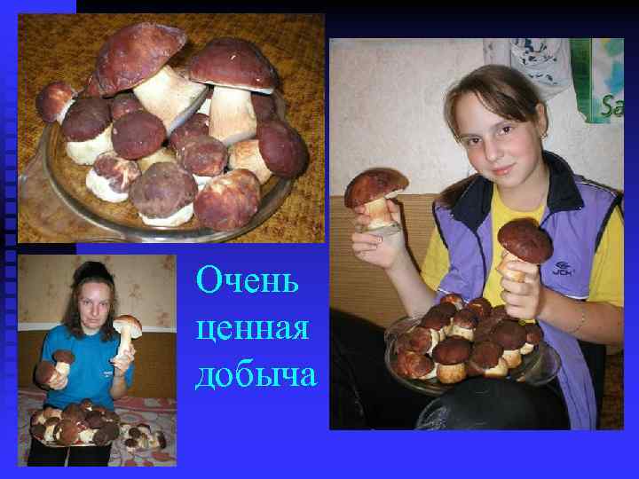 Очень ценная добыча 