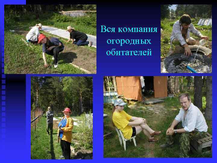 Вся компания огородных обитателей 