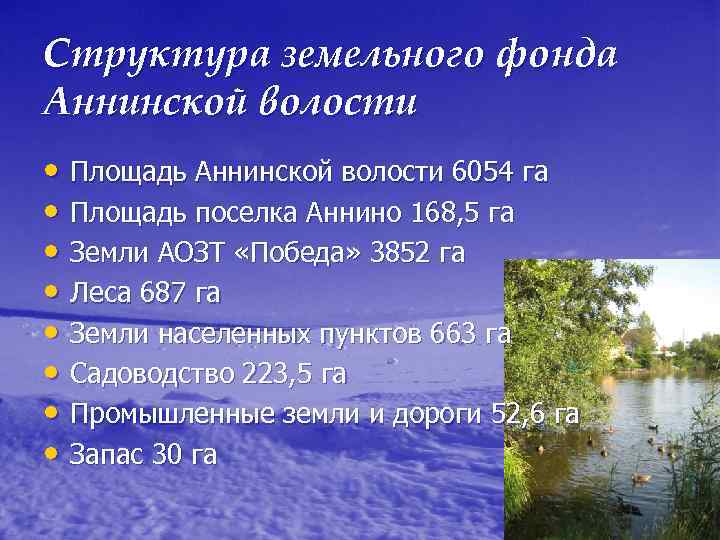 Структура земельного фонда Аннинской волости • Площадь Аннинской волости 6054 га • Площадь поселка