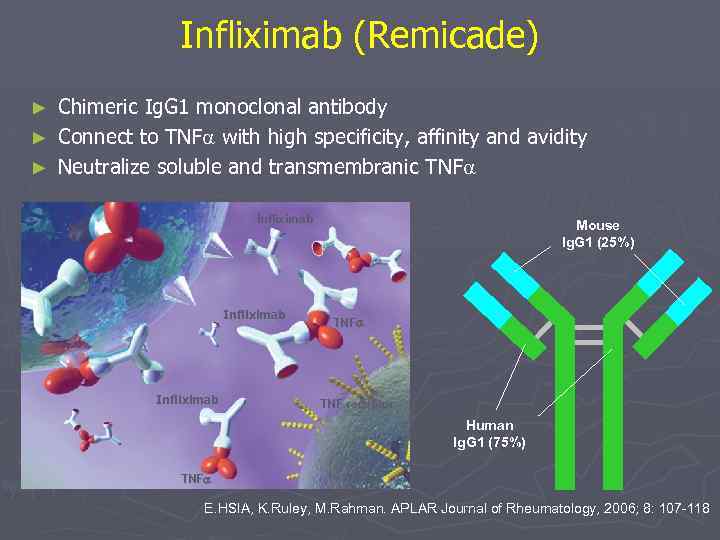 Infliximab (Remicade) Chimeric Ig. G 1 monoclonal antibody ► Connect to TNF with high