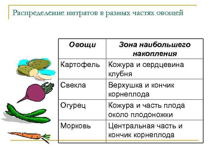 Распределение нитратов в разных частях овощей Овощи Картофель Зона наибольшего накопления Кожура и сердцевина