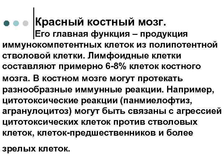 Красный костный мозг. Его главная функция – продукция иммунокомпетентных клеток из полипотентной стволовой клетки.