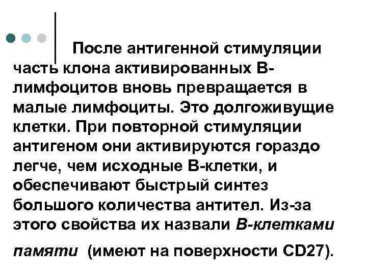 После антигенной стимуляции часть клона активированных Влимфоцитов вновь превращается в малые лимфоциты. Это долгоживущие