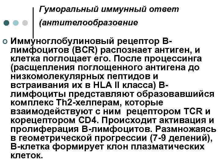 Гуморальный иммунный ответ (антителообразовние ¢ Иммуноглобулиновый рецептор Влимфоцитов (ВСR) распознает антиген, и клетка поглощает