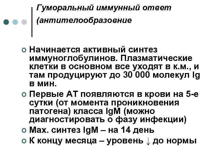 Гуморальный иммунный ответ (антителообразовние Начинается активный синтез иммуноглобулинов. Плазматические клетки в основном все уходят