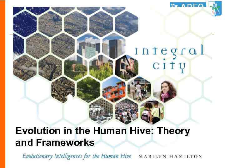 Evolution in the Human Hive: Theory and Frameworks ©Marilyn Hamilton Ph. D CGA 