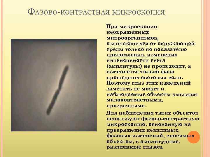 ФАЗОВО-КОНТРАСТНАЯ МИКРОСКОПИЯ При микроскопии неокрашенных микроорганизмов, отличающихся от окружающей среды только по показателю преломления,