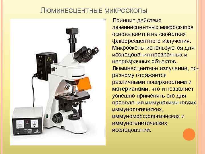 ЛЮМИНЕСЦЕНТНЫЕ МИКРОСКОПЫ Принцип действия люминесцентных микроскопов основывается на свойствах флюоресцентного излучения. Микроскопы используются для