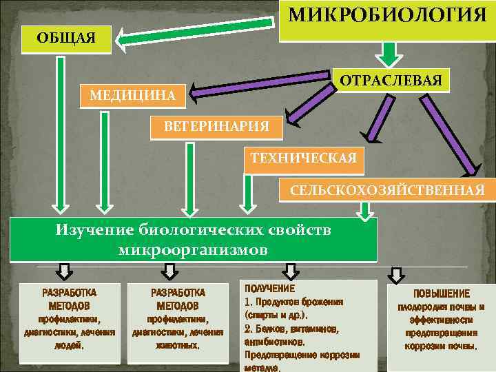 МИКРОБИОЛОГИЯ ОБЩАЯ ОТРАСЛЕВАЯ МЕДИЦИНА ВЕТЕРИНАРИЯ ТЕХНИЧЕСКАЯ СЕЛЬСКОХОЗЯЙСТВЕННАЯ Изучение биологических свойств микроорганизмов РАЗРАБОТКА МЕТОДОВ профилактики,