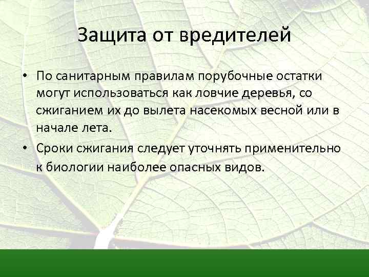 Защита от вредителей • По санитарным правилам порубочные остатки могут использоваться как ловчие деревья,